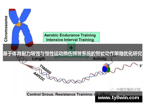 基于体育耐力增强与慢性运动损伤预警系统的智能动作策略优化研究