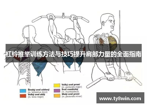 杠铃推举训练方法与技巧提升肩部力量的全面指南